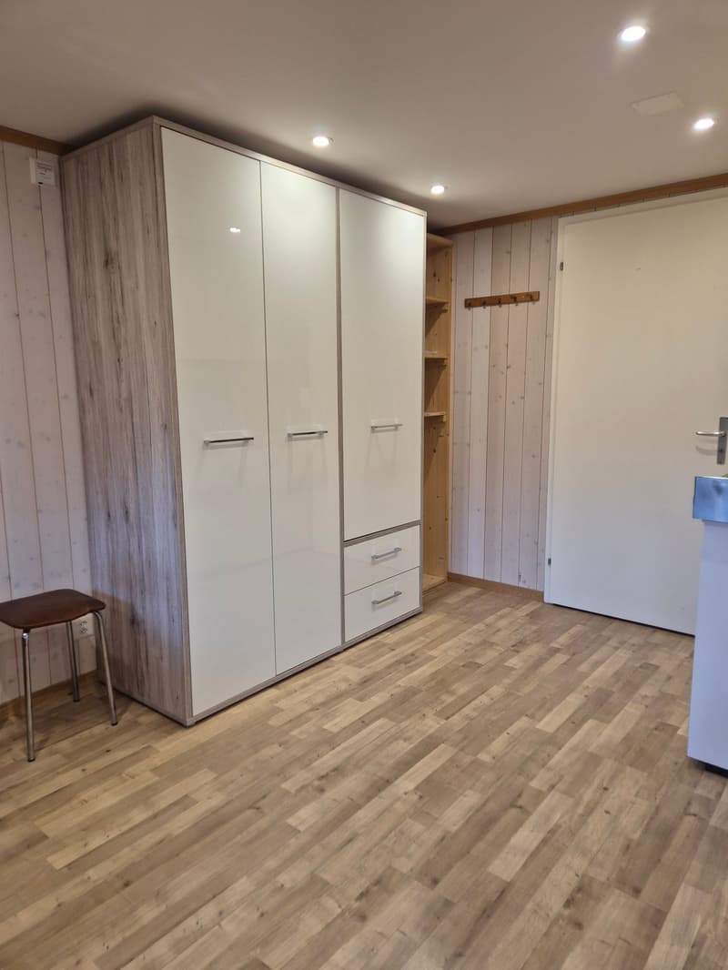 Appartement 1 pièce en centre-ville (2)