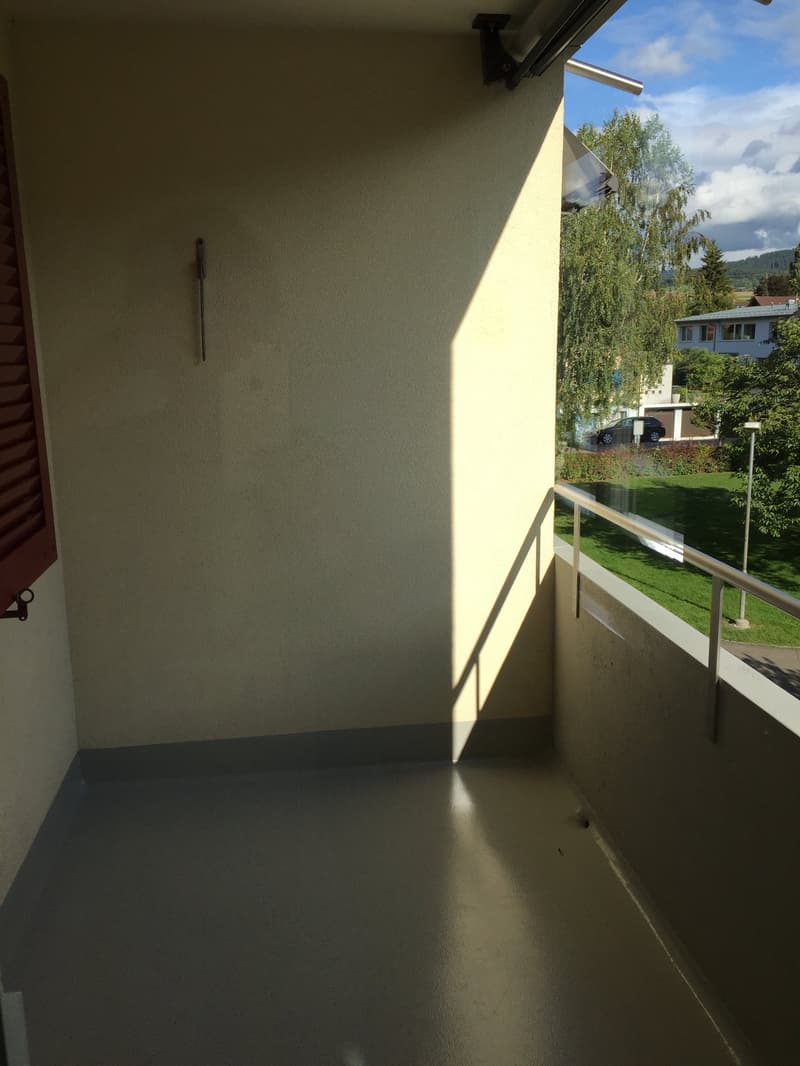 Affascinante appartamento di 3.5 locali in una zona tranquilla a Münsingen (8)
