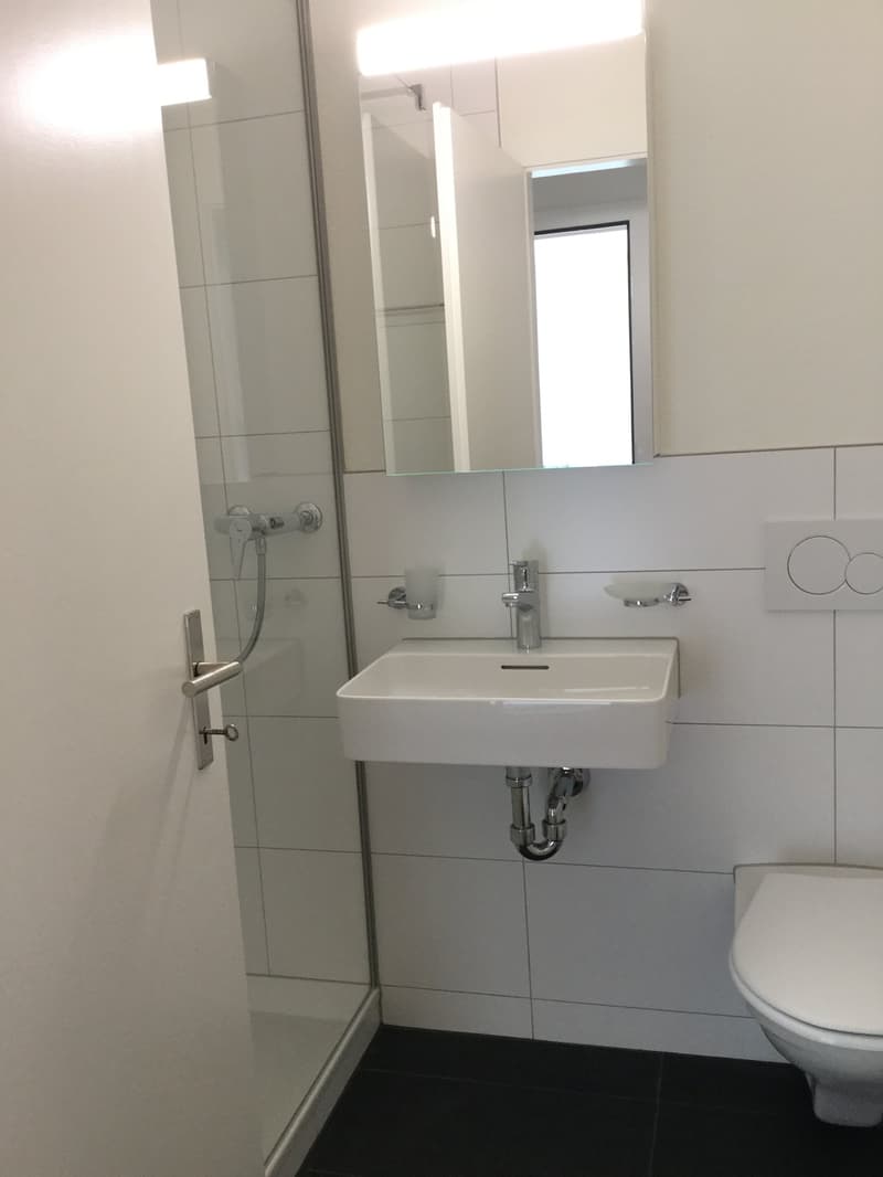 Charmante 3.5-Zimmer-Wohnung in ruhiger Lage in Münsingen (2)
