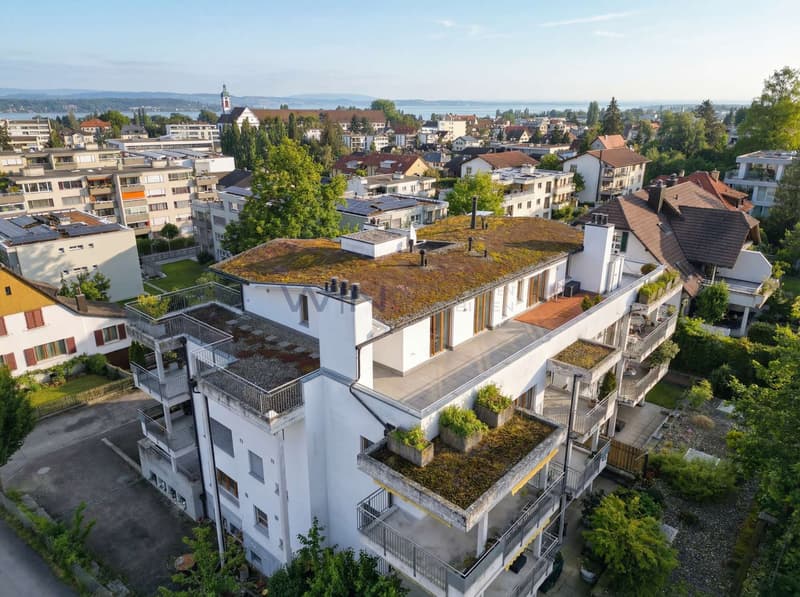 Panoramablick Bodensee