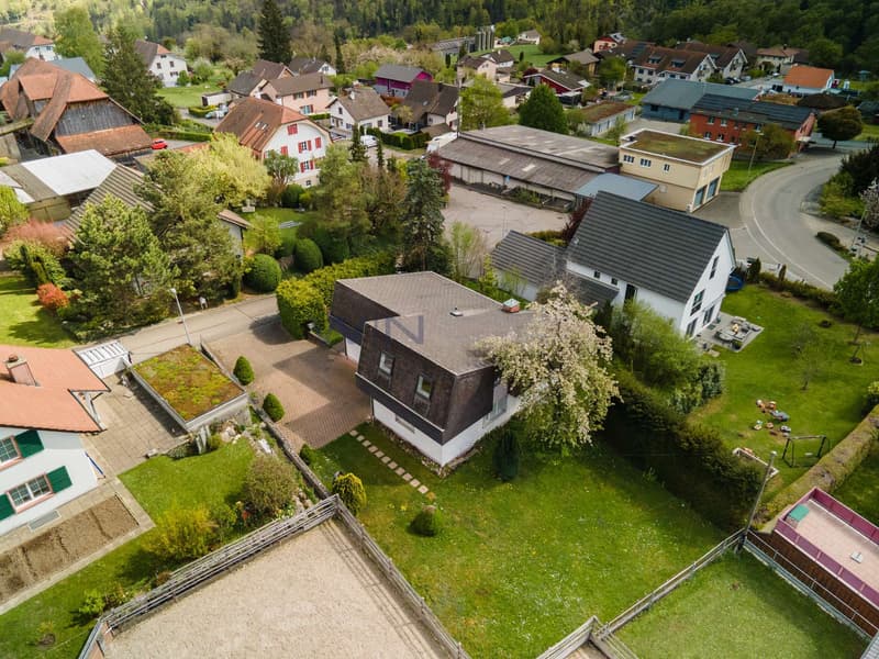 Viel Wiese