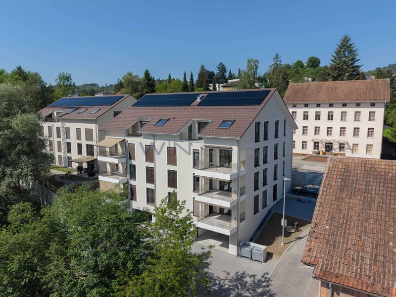 Neubau Sommer 2026