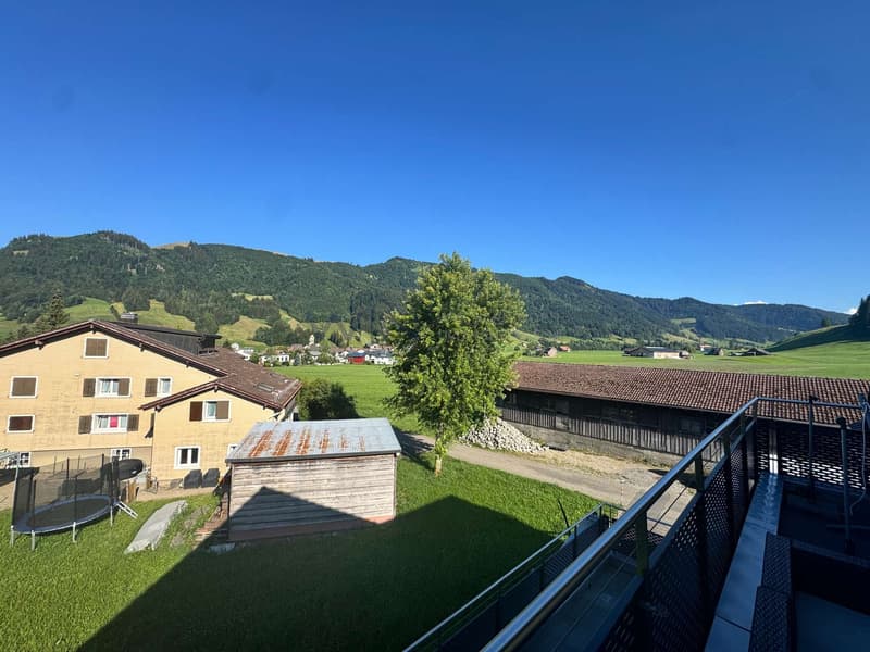 Blick ins Grüne
