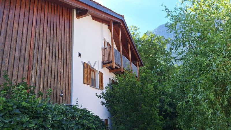 Blick in die Ferne