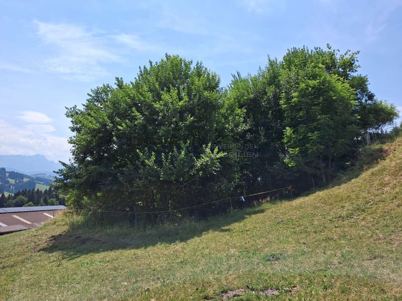 Ein freistehendes Paradies
