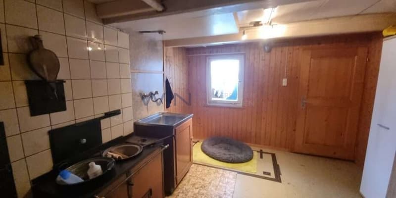 Hundezimmer