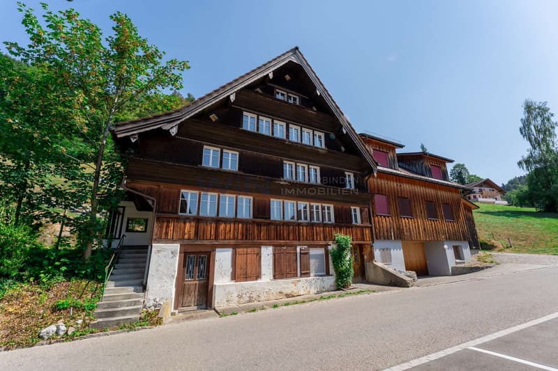 Stattliches Holzhaus am Hang