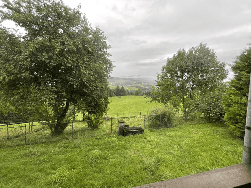 Aussicht auf Rehe