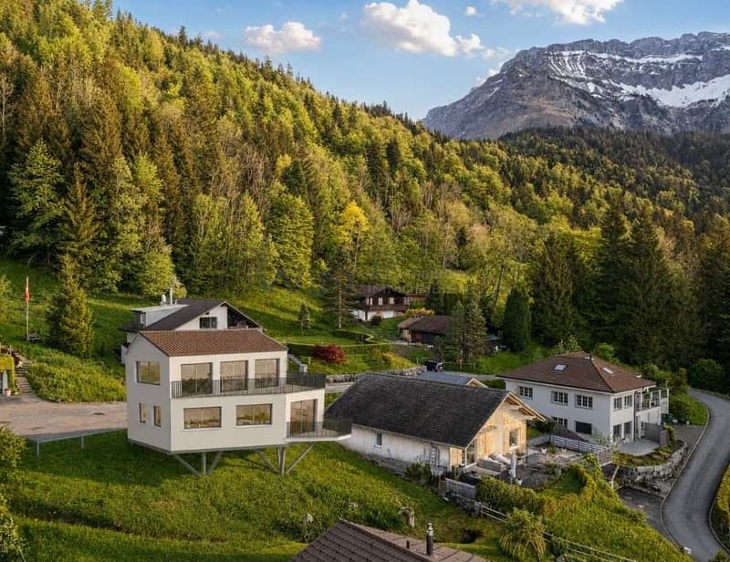 Projekt bewilligt