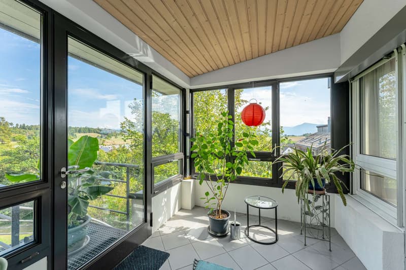 Glashaus über den Wipfeln