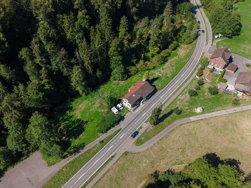 Platz für Ihre Tiere
