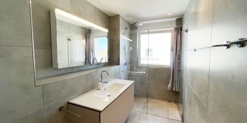 08_bathroom-924x462