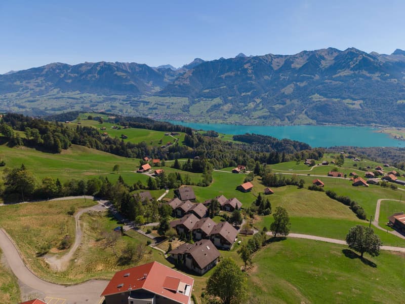 Panoramareich