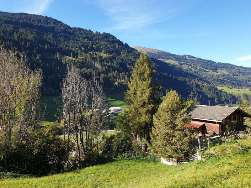 Freiraum/unverbaubare Aussicht