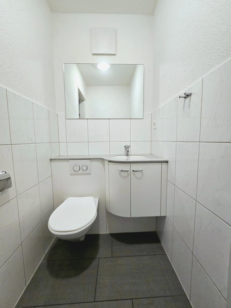 Appartamento da sogno di 4,5 locali nel bellissimo Lindenhof a Wettingen (5)