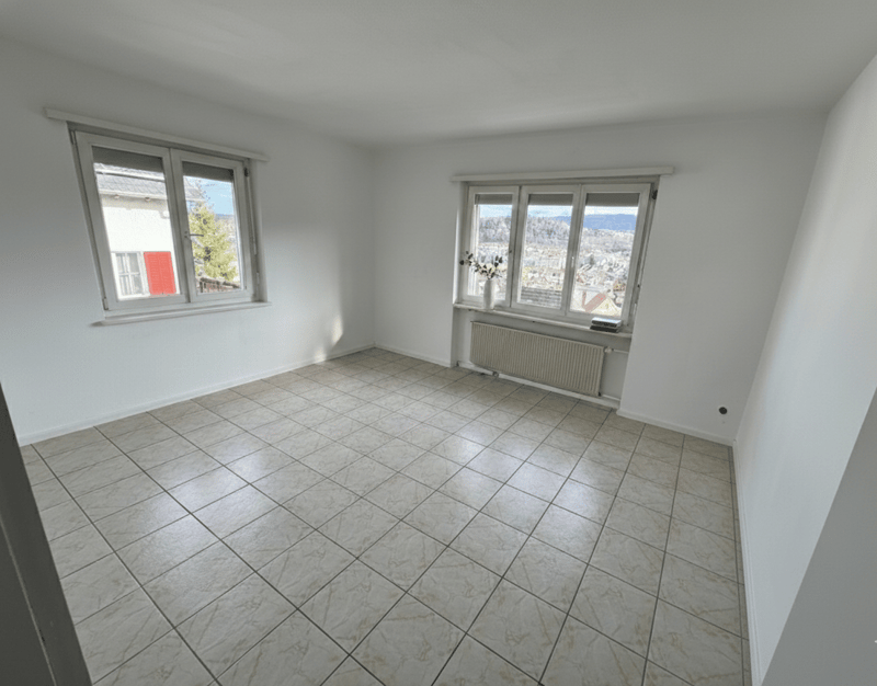 80 m² Terrasse mit Panoramablick — Penthouse-Wohnung über Olten (6)