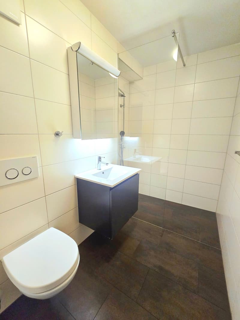 Charming 3.5-room apartment in Emmen with balcony (4)
