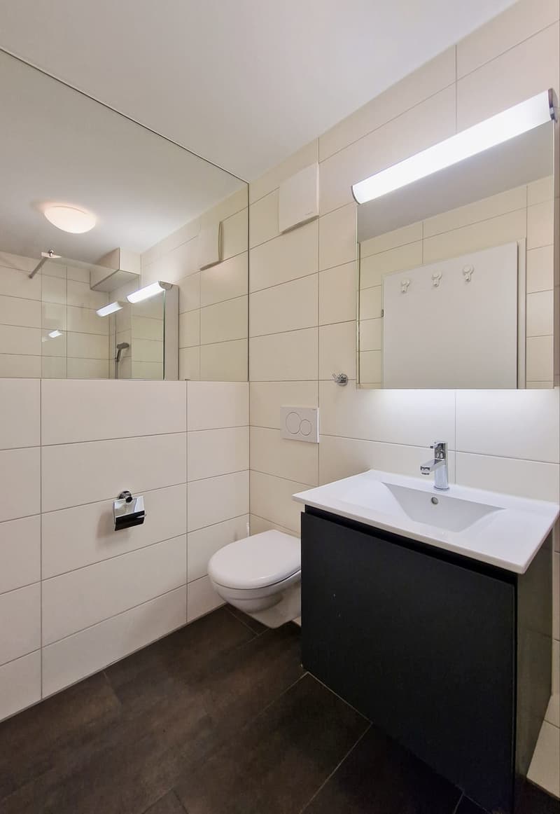 Charming 3.5-room apartment in Emmen with balcony (4)