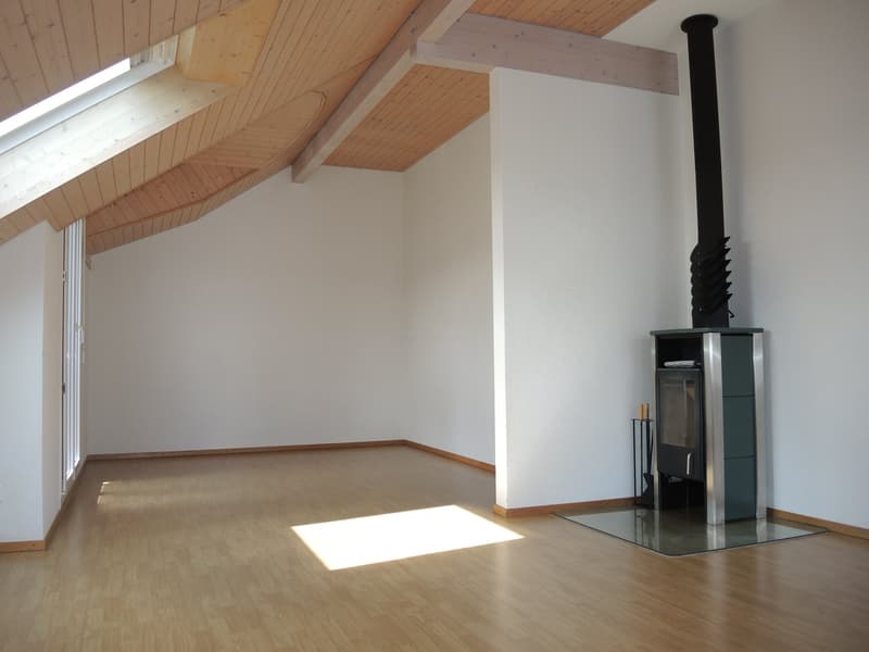 5.5-Zimmer-Attikawohnung mit grosser Terrasse und Cheminée (3)