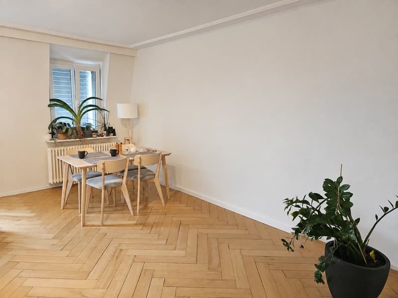 Charmante 3-Zimmer-Wohnung in Solothurn – verfügbar ab 01.10.2026 (2)