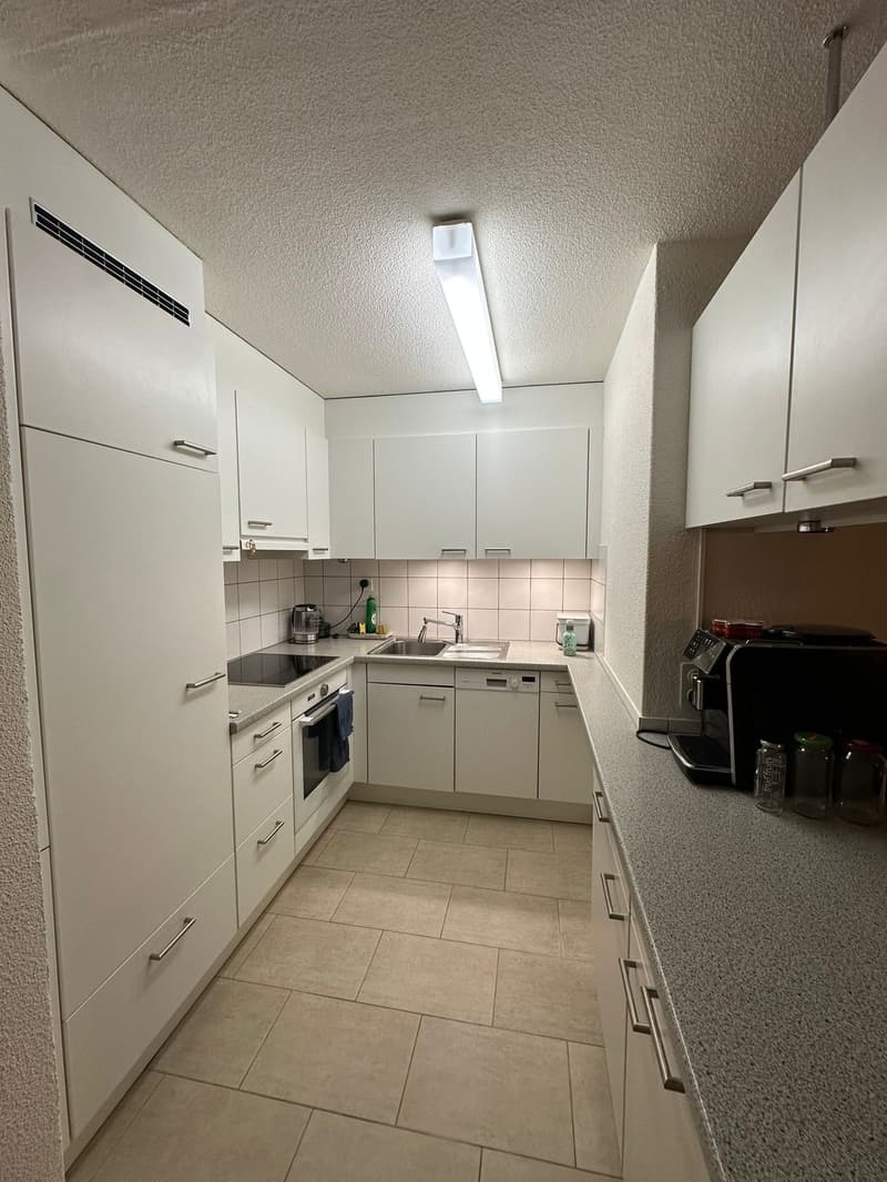Charmante 3.5-Zimmer-Terrassenwohnung in Rothrist (8)
