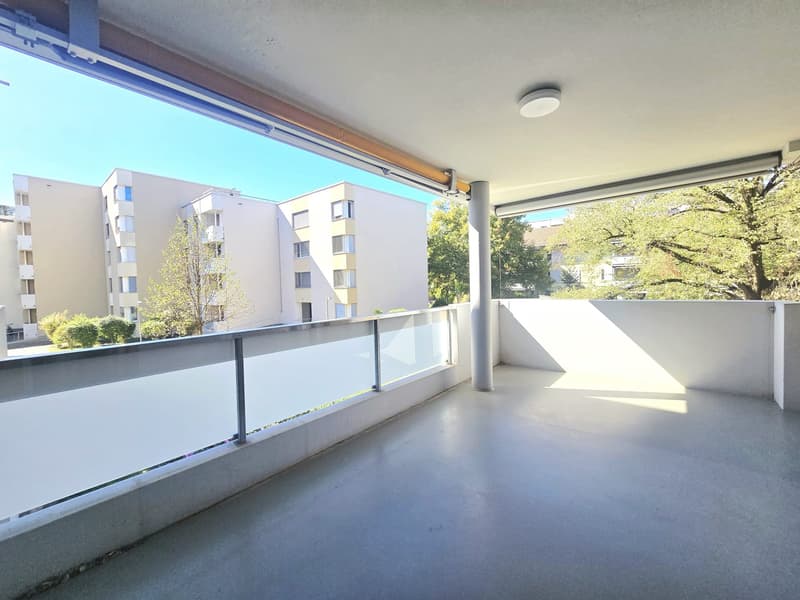 Traumhafte 3.5-Zimmerwohnung im schönen Lindenhof in Wettingen (8)