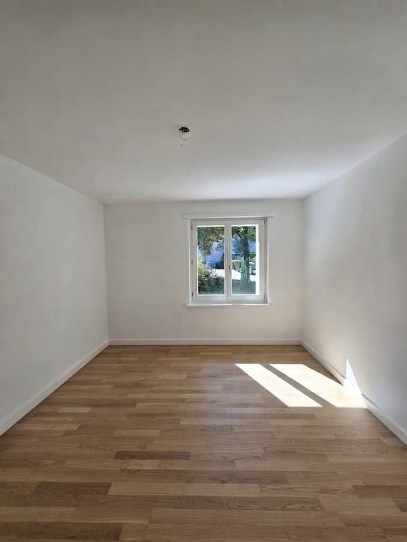 Traumhafte 4-Zimmerwohnung im schönen Lindenhof in Wettingen (4)