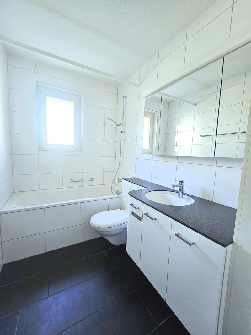 Traumhafte 4-Zimmerwohnung im schönen Lindenhof in Wettingen (3)