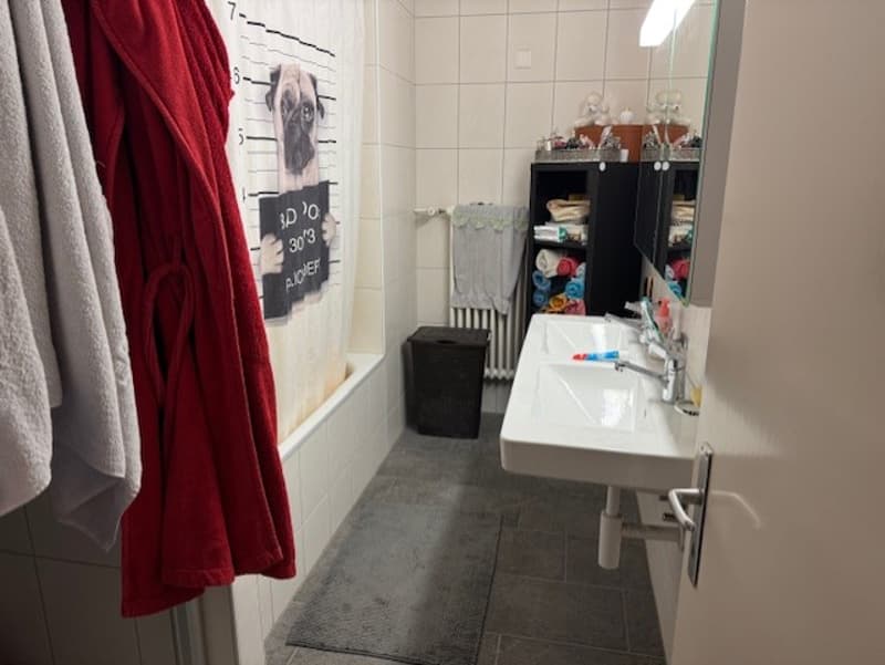 Helle 4-Zimmer-Wohnung an der Hauptstrasse in Oberbuchsiten (8)