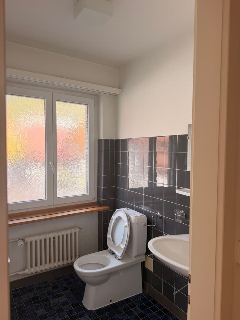 Grosszügige 4.5-Zimmer-Wohnung in Oberbuchsiten – ab sofort verfügbar! (6)