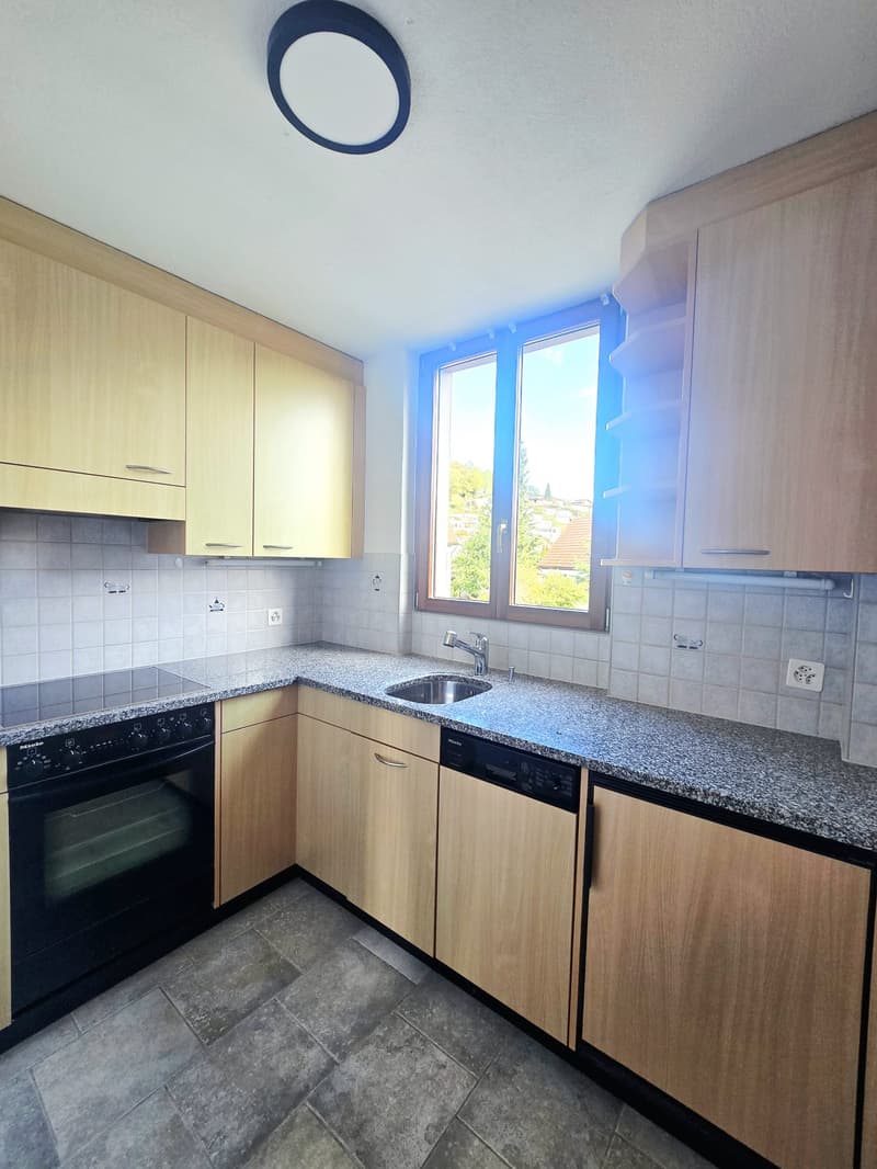 ERSTVERMIETUNG - Gemütliche 3-Zimmerwohnung mit grosser Terrasse und Gartenanteil (2)