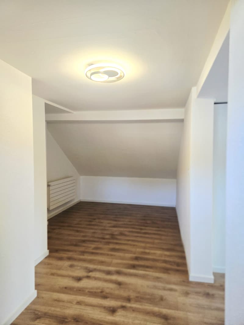 ERSTVERMIETUNG - Gemütliche 1.5-Zimmerwohnung im Dachgeschoss (7)