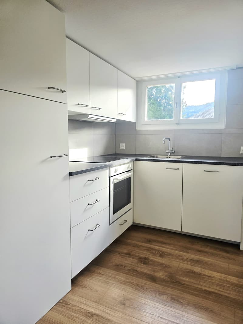 ERSTVERMIETUNG - Gemütliche 1.5-Zimmerwohnung im Dachgeschoss (2)
