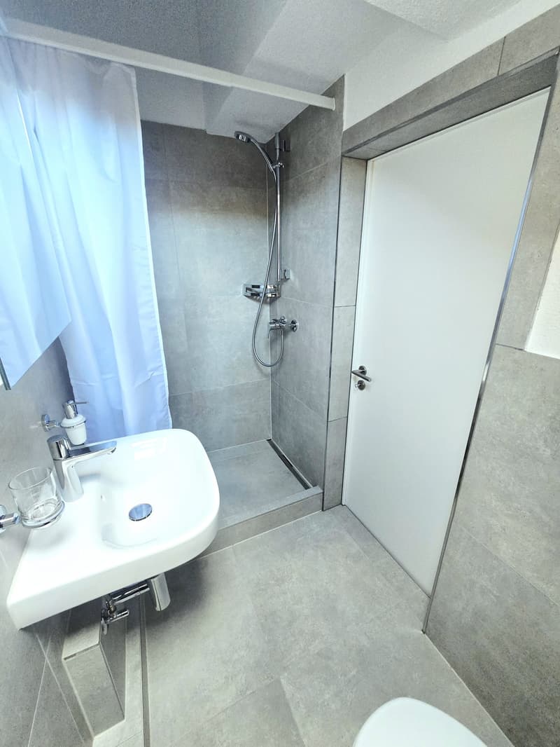 ERSTVERMIETUNG - Gemütliche 1.5-Zimmerwohnung im Dachgeschoss (4)