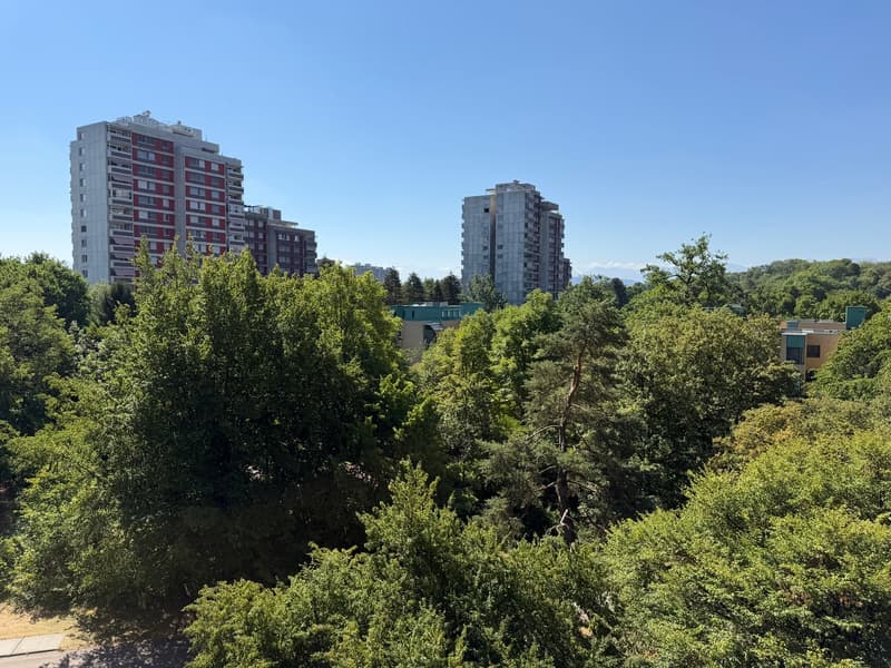Appartement bien entretenu avec balcon et vue imprenable (10)