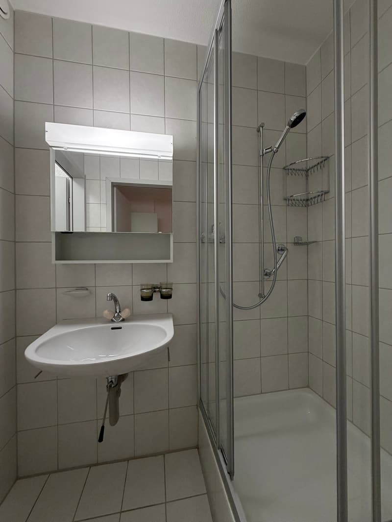 Appartement bien entretenu avec balcon et vue imprenable (8)