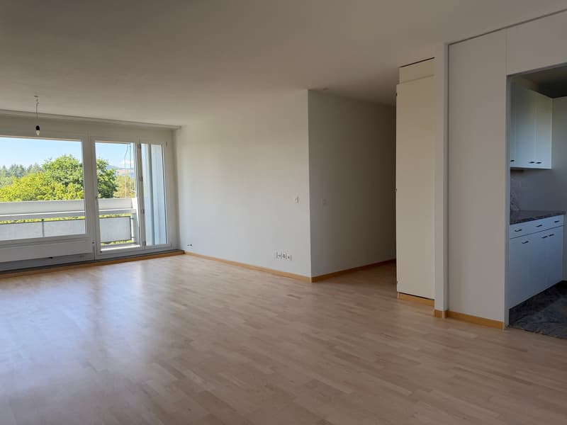 Appartement bien entretenu avec balcon et vue imprenable (4)