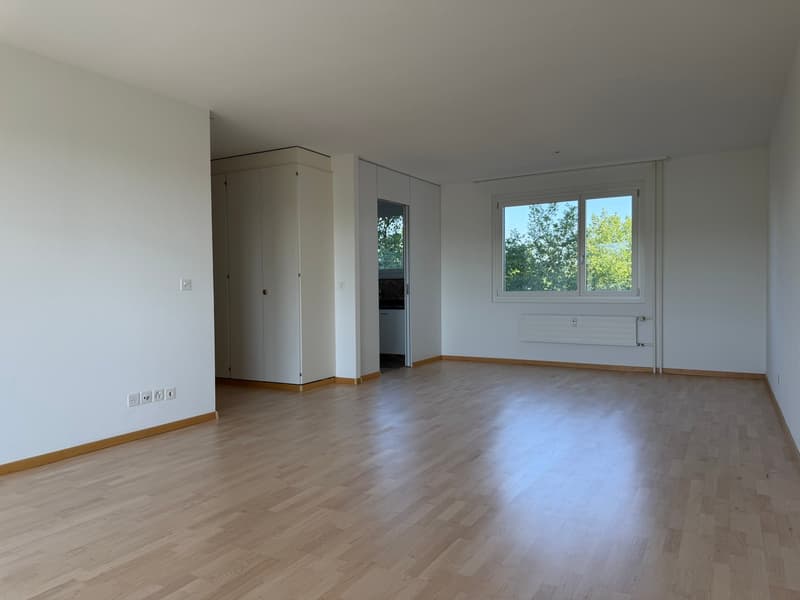 Appartement bien entretenu avec balcon et vue imprenable (5)