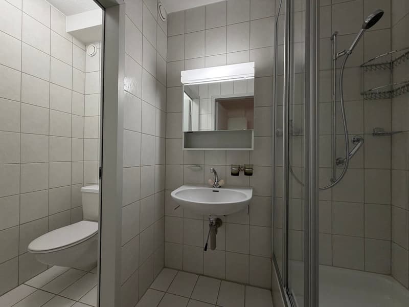Appartement bien entretenu avec balcon et vue imprenable (9)