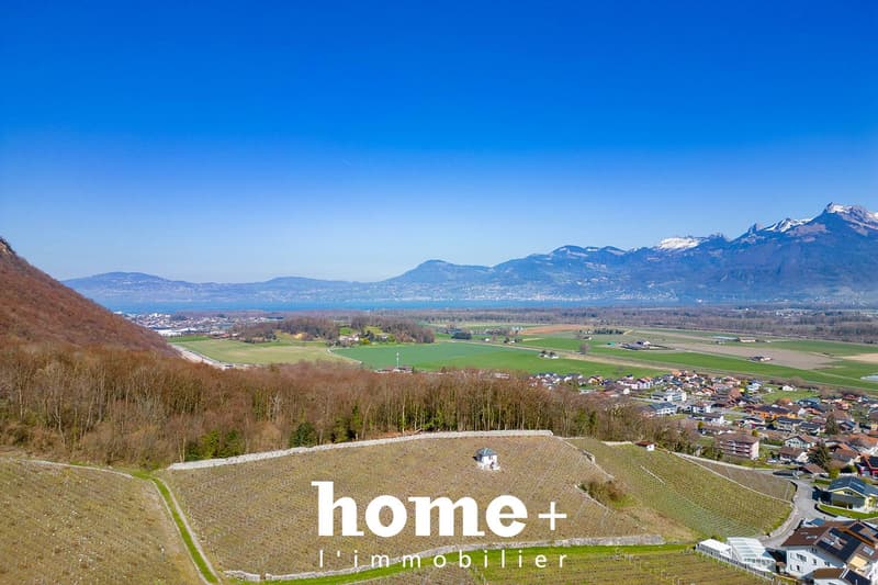 Magnificent new 5.5-room villa, 3 km from the lake (9)
