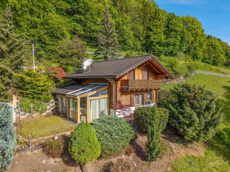 Chalet di 4 locali con fascino e vista (1)