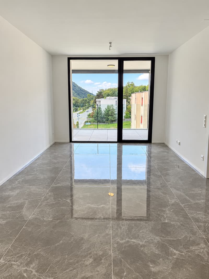 ULTIMI 2 SPLENDIDI 2.5 LOCALI A LUMINO (3)
