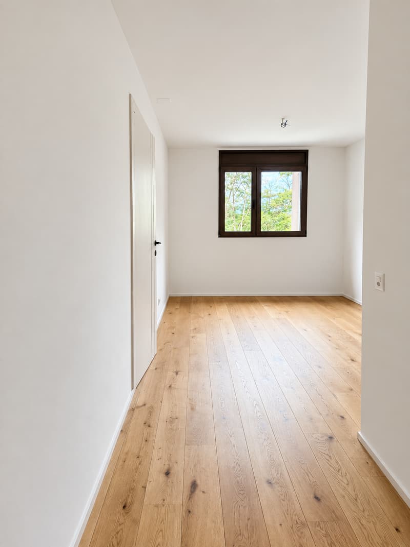 Meraviglioso Attico di 3.5 Locali con Vista Panoramica a Lumino (8)