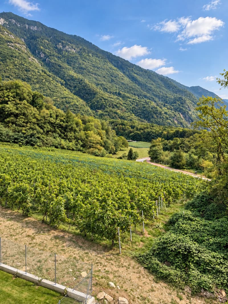 Meraviglioso Attico di 3.5 Locali con Vista Panoramica a Lumino (11)
