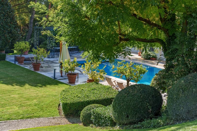 Swimming pool, garden with shrubs, lemon trees, grassy lawn, patio with table, chairs, and umbrella