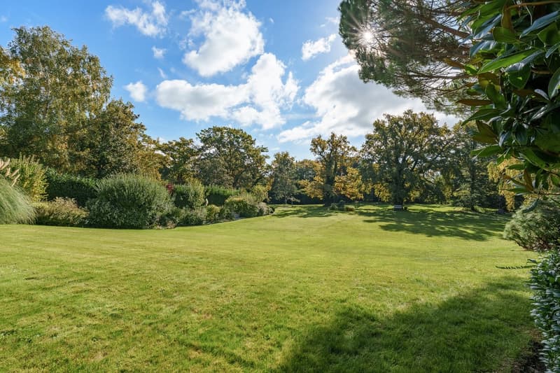Large open green space, lush plants, trees, bushes, cloudy sky, bright sunlight