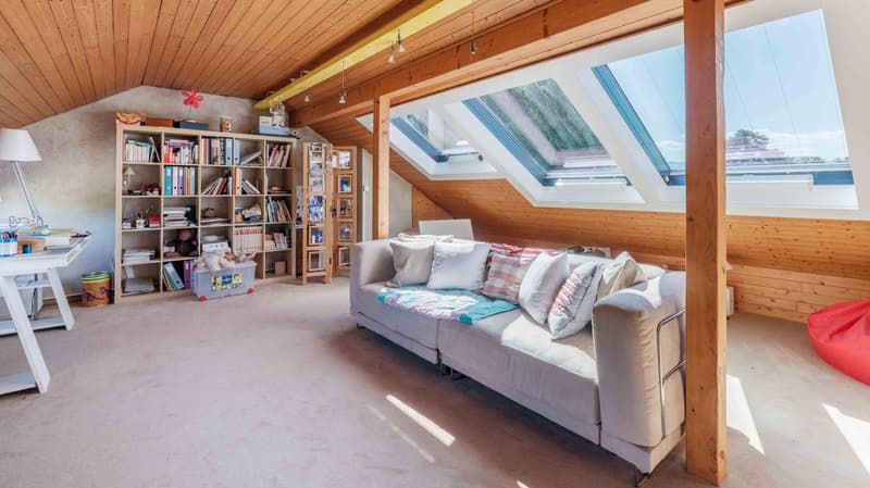 Beautiful property with pool in Cologny (7)