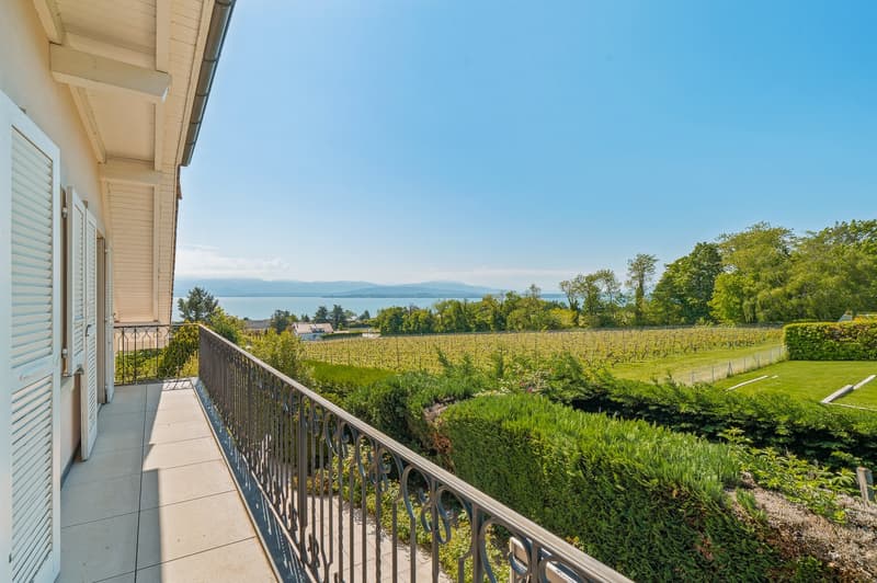 Co-exclusivity - Individual villa with stunning views in Dully (1)