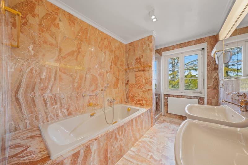 Co-exclusivité - Villa individuelle avec vue somptueuse à Dully (9)