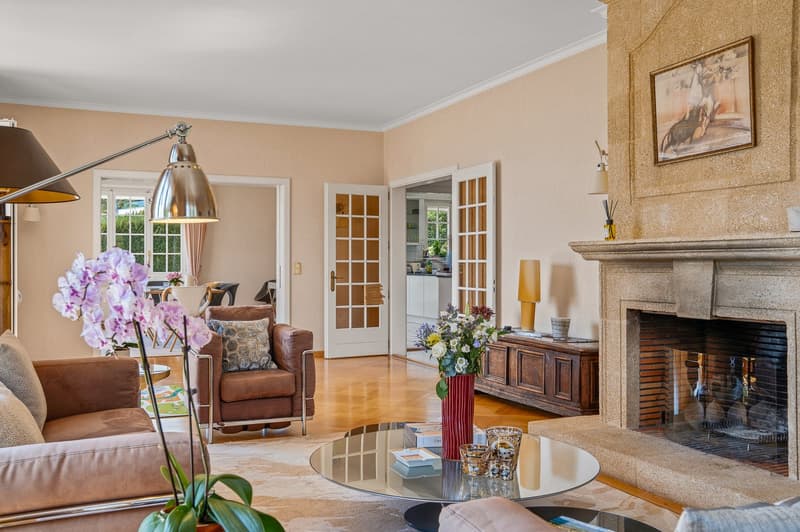 Co-exclusivité - Villa individuelle avec vue somptueuse à Dully (3)